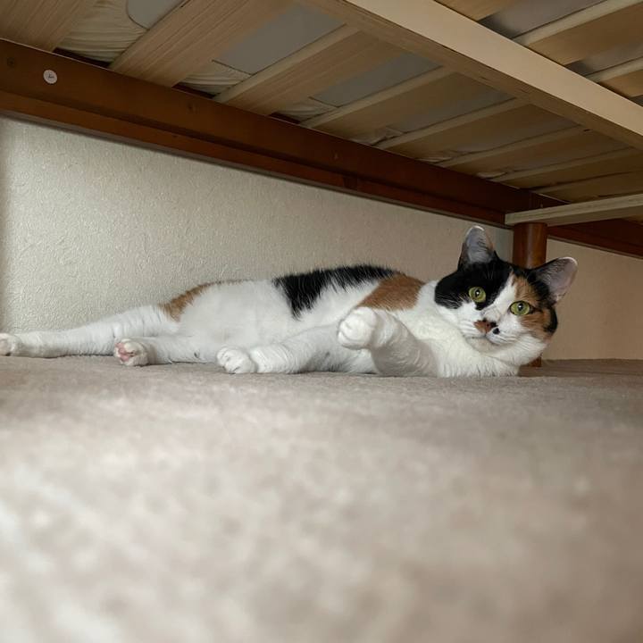 02e87a88 3089 4dbb b4d4 720a8df18629 1719268443614