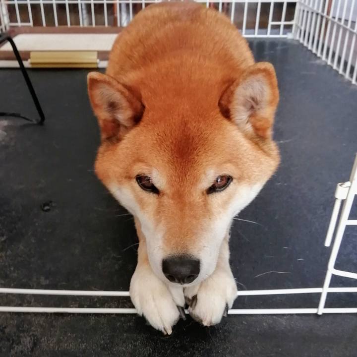 02e87f4c 8144 42d1 af41 24033384a62c 1617247208124