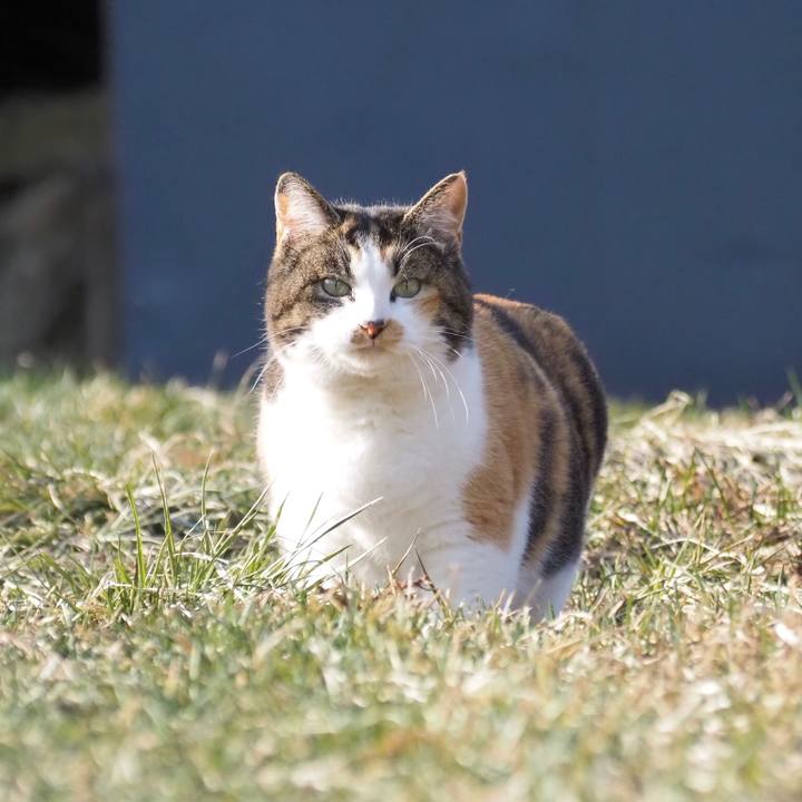 02e8bbaf 5a0e 46f4 a70d 2f48eacf77a3 1774443376973