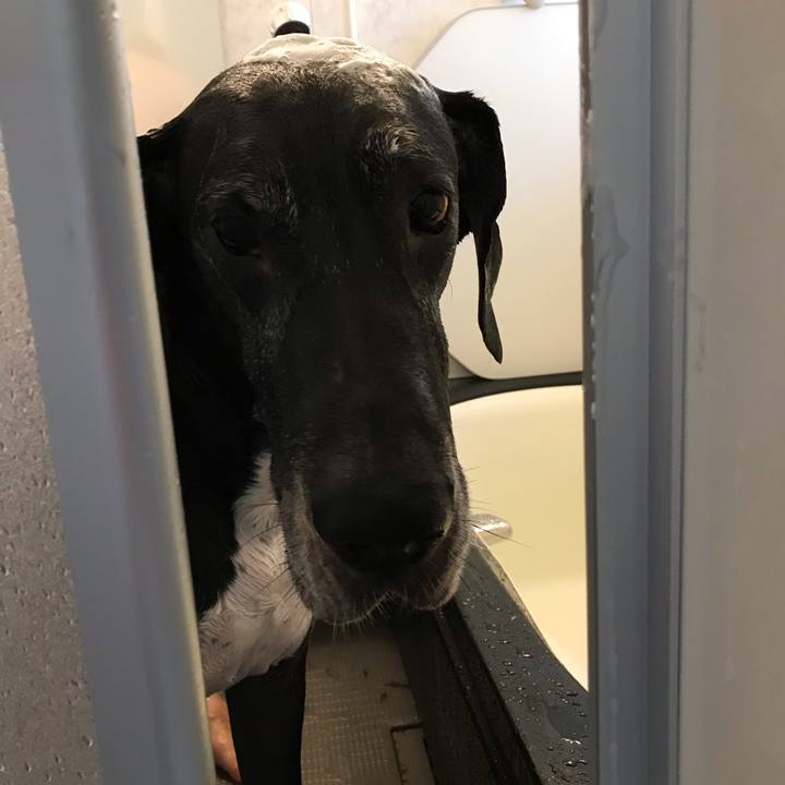 02e9104c e3d4 49c8 a1ca ff7c8c0f6178 1540682237686