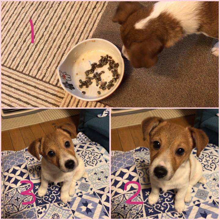 02e91c36 fae6 4835 959c 4688e6227178 1546602020333