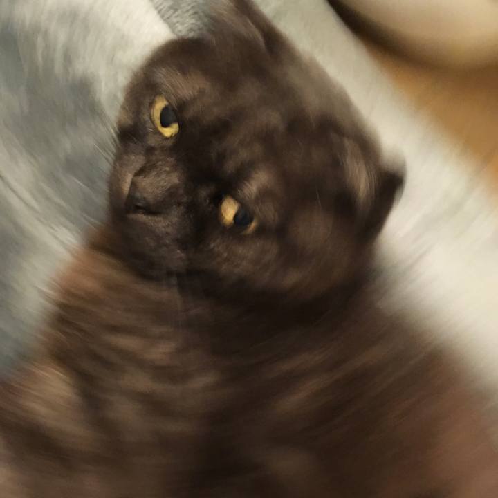 02e97dce 3b00 46c4 acd6 7cd659477b64 1557152925074