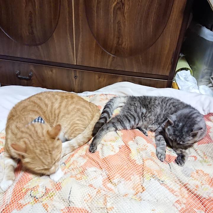 02e9a318 9e1b 476e 826f 61acdda6f71c 1569672941950