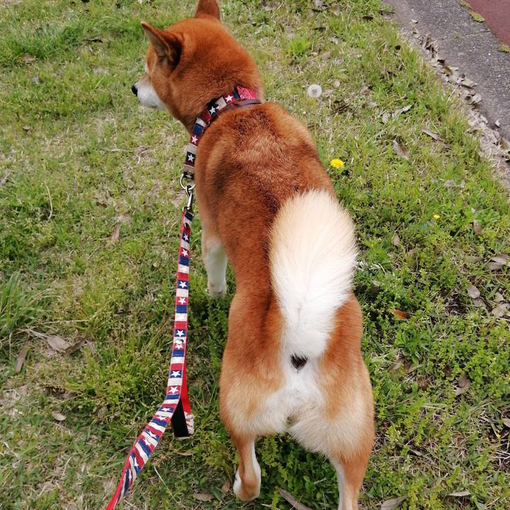 02e9b787 67b1 4f6f 9767 b1915a00fca7 1650509832989