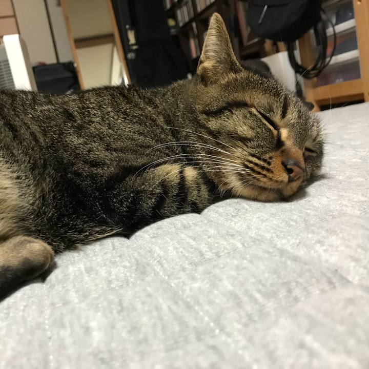 02e9f385 d11a 4e3b bd21 de0d4f546936 1514302162994