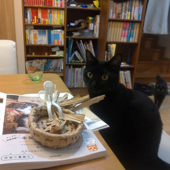 02e9f68f 074a 4613 abc8 9ac77b19236e 1562944245919