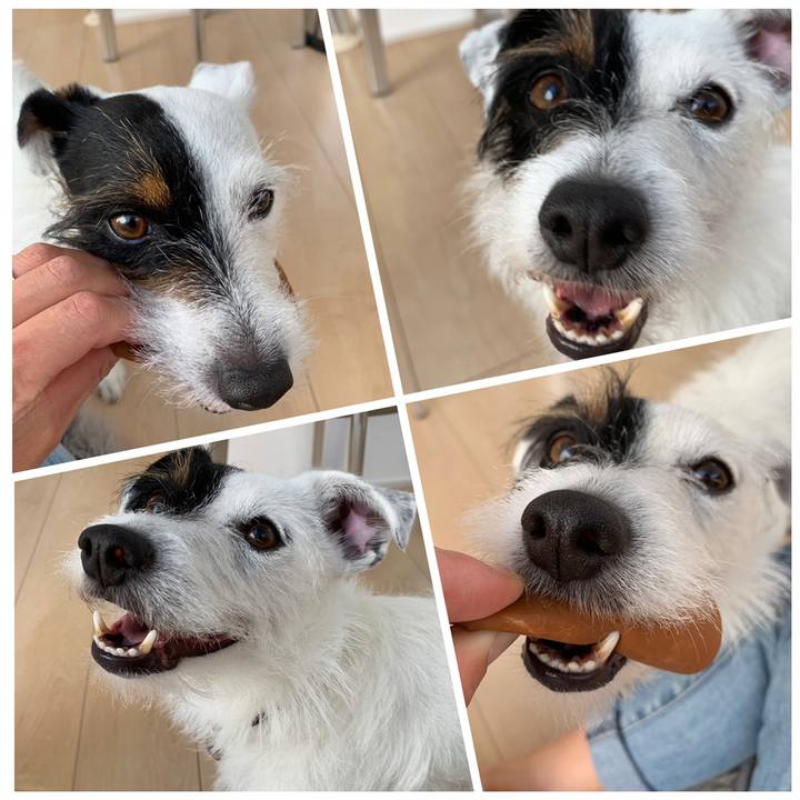 02e9f967 43b1 4931 991c ea56ca66bd99 1558488235996