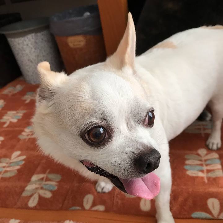 02e9feaa f5e1 42a0 9a7a ab0c6404219e 1539126706442