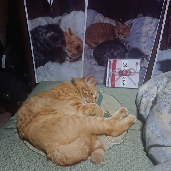 02ea4644 cb90 47ff a758 9cebdd110d15 1660829128782