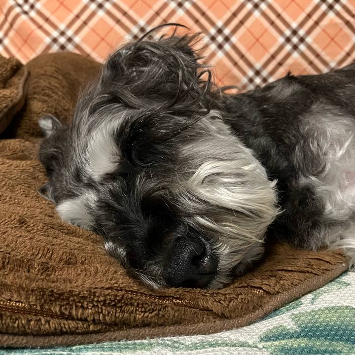 02ea59d3 60a8 472f 9eff 2abd71de0e13 1747493664156