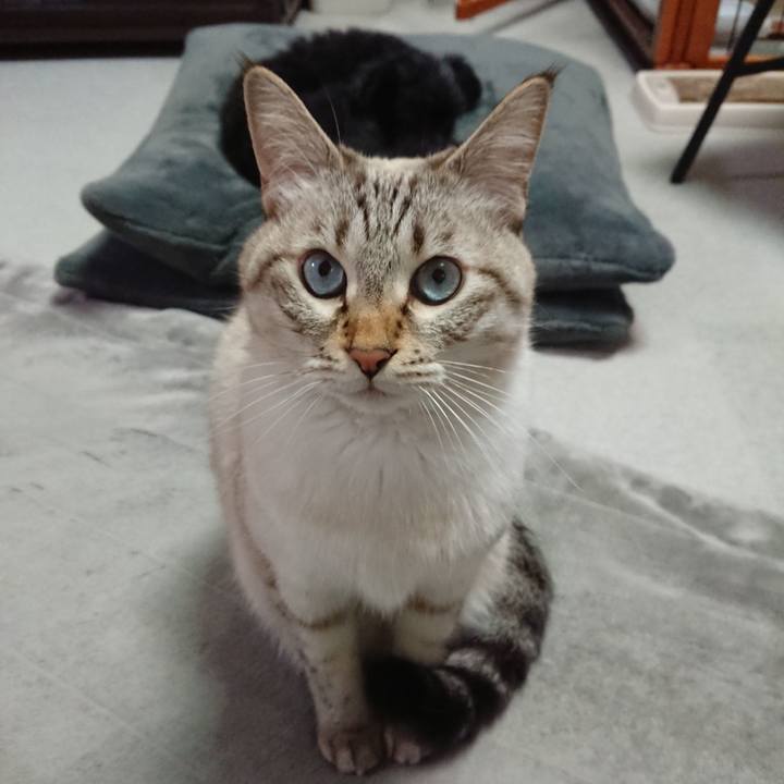 02ea6114 5c06 40e1 bbcf c4143b22fa36 1604133250598