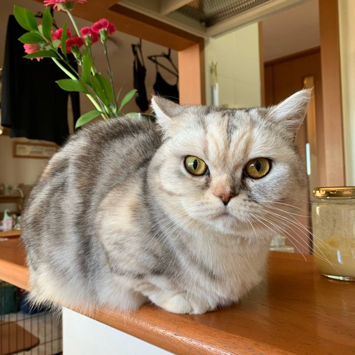 02ea65fc 85df 412b b5ac 8ba47de153e6 1711057995682