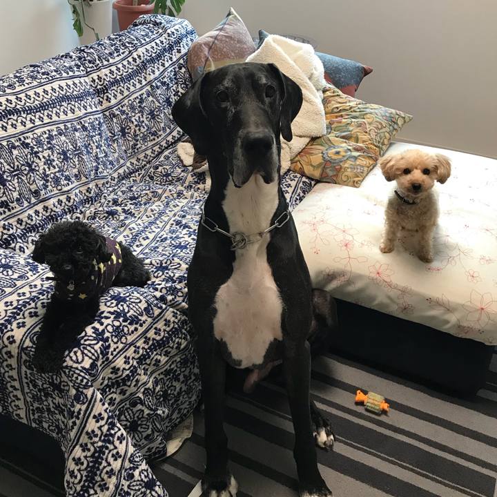 02ea6821 b4b9 471c a65f 3d35cf3ec89d 1516229578146