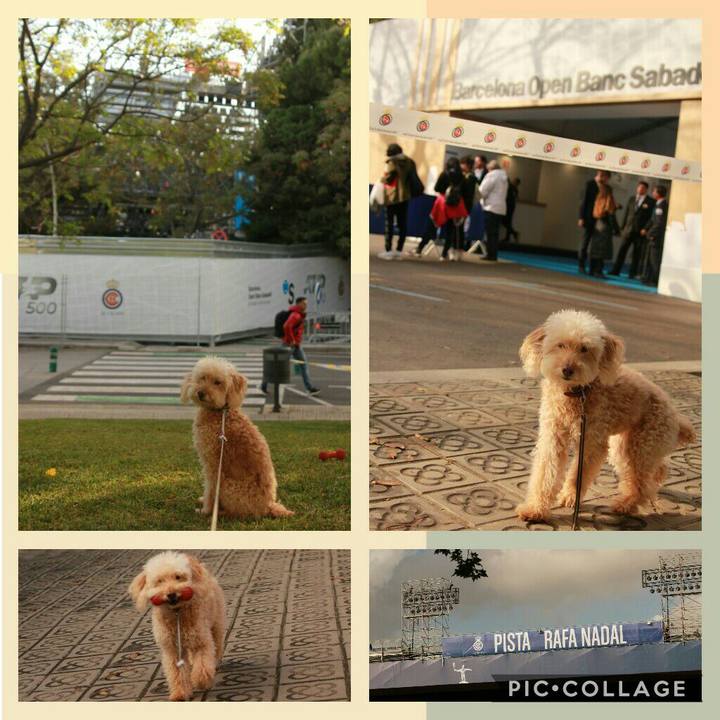 02ea6d89 22c3 412f b2b5 3727cddca1c7 1556228606568