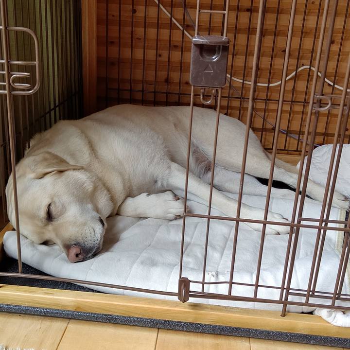 02ea7794 b8ff 4f4b 8761 389c442fd98c 1590625651648