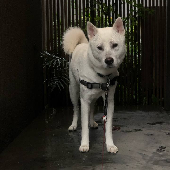 02ea8a2a 8428 4fe2 9fcf cc5ee69197aa 1543796886359