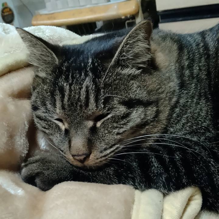 02eab75c 56a1 4afe afa1 1c0444a1ab25 1671769909481