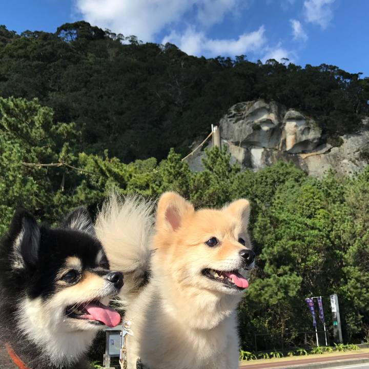 02eae3a8 be37 457d 9f7b cae31d7cf77b 1573644310099