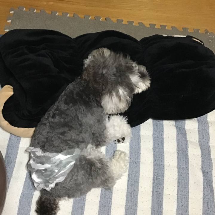 02eb16ea 3ea4 4f6f a657 9c69cd714315 1596277426640