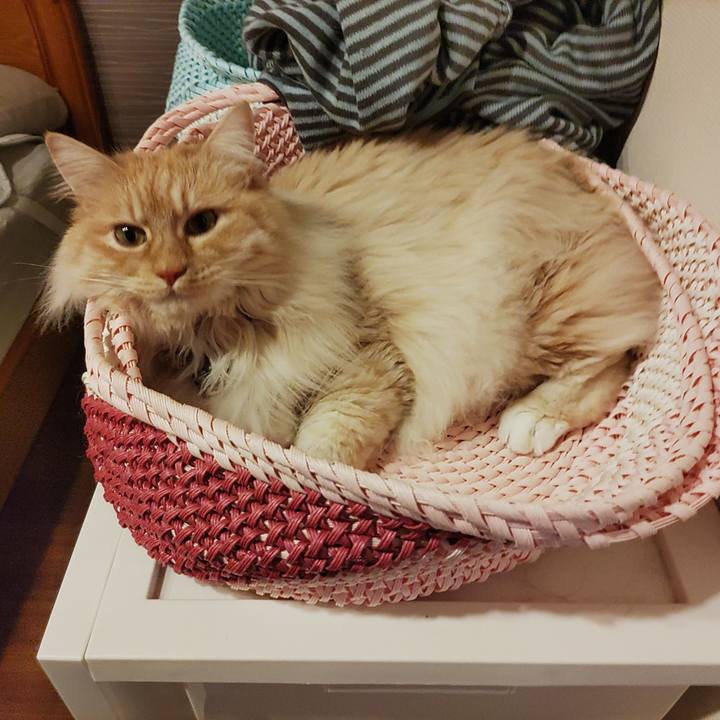 02eb1ab5 4790 49ba a8c5 0a7be4c7c5f2 1713184876076