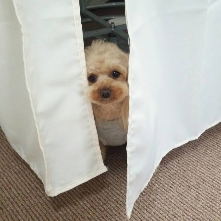 02eb2114 58e3 48c0 b278 07e2ba11f66e 1522321329237