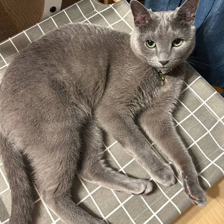 02eb40ce c4d9 42d1 b86b 0b42861f9ee0 1686714966459