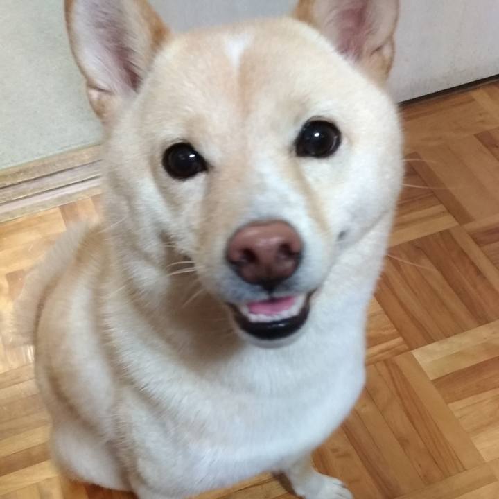 02eb43fd 0c85 495e 8cda b8ddaf531615 1567078177657