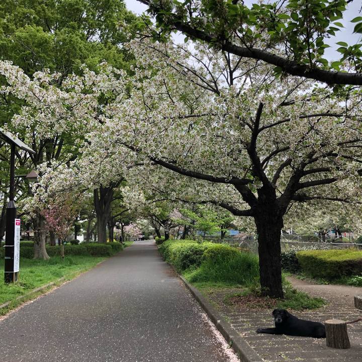 02eb65df ed38 4160 b833 5ffd88c91b4a 1617338410496