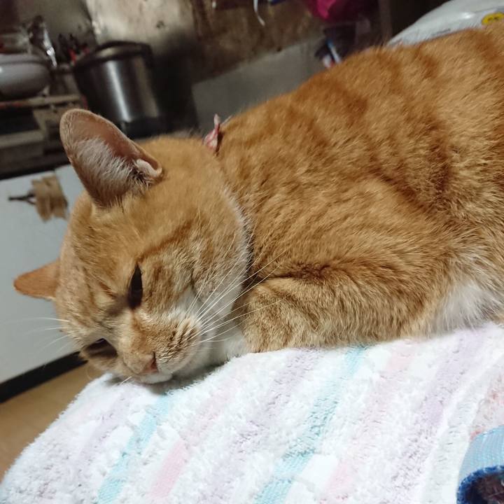 02eb723d 8cb1 49a6 a381 a5dd765faff4 1607723834206