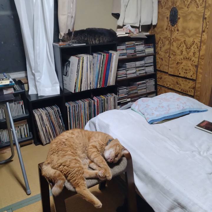 02eb80a7 1499 4840 a150 aa08a3450fef 1688906690552