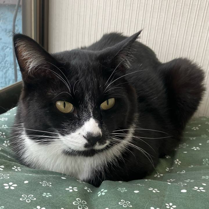 02eba2d9 01bd 4097 9bd8 7ccc4df7e2b5 1699328018664