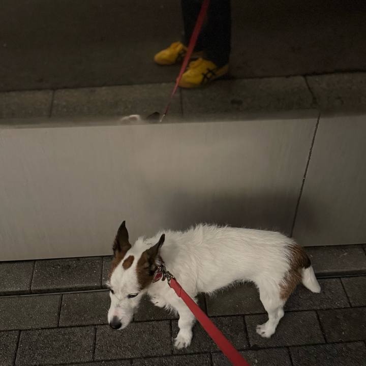 02ebb528 db39 42fb 8af4 63b6fd966303 1770467679294