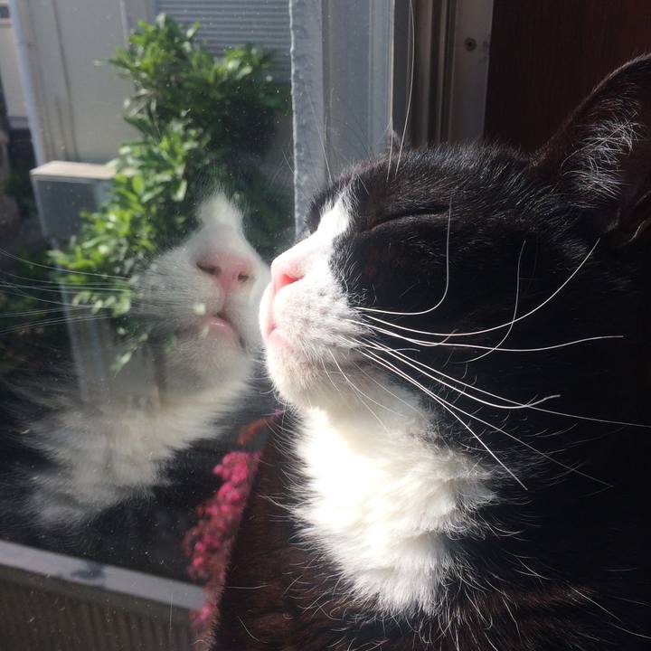 02ebce34 e3f7 4134 a449 cfd211878e05 1555806956600