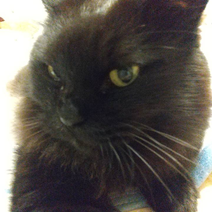 02ebd67e f1d5 4a64 8b8b 2979ba745ff4 1590964116892