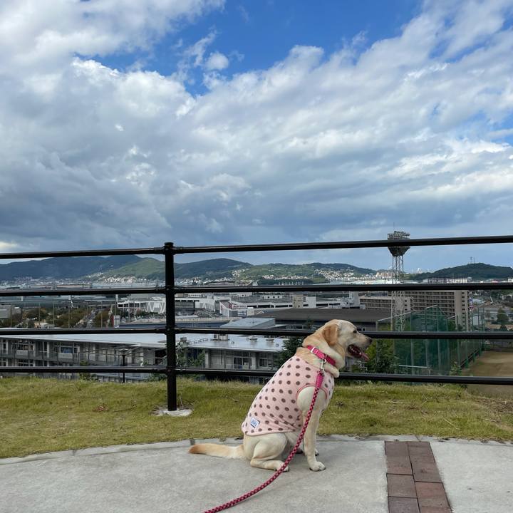 02ebe7dd 7b8a 47f0 b604 fad075661718 1634944368336