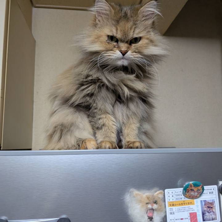 02ebf515 9c10 4265 a818 11136d2af170 1740663356011