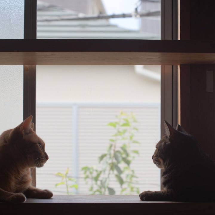 02ec17ec 41fc 4177 8f93 5f1d82ca8583 1752363724592