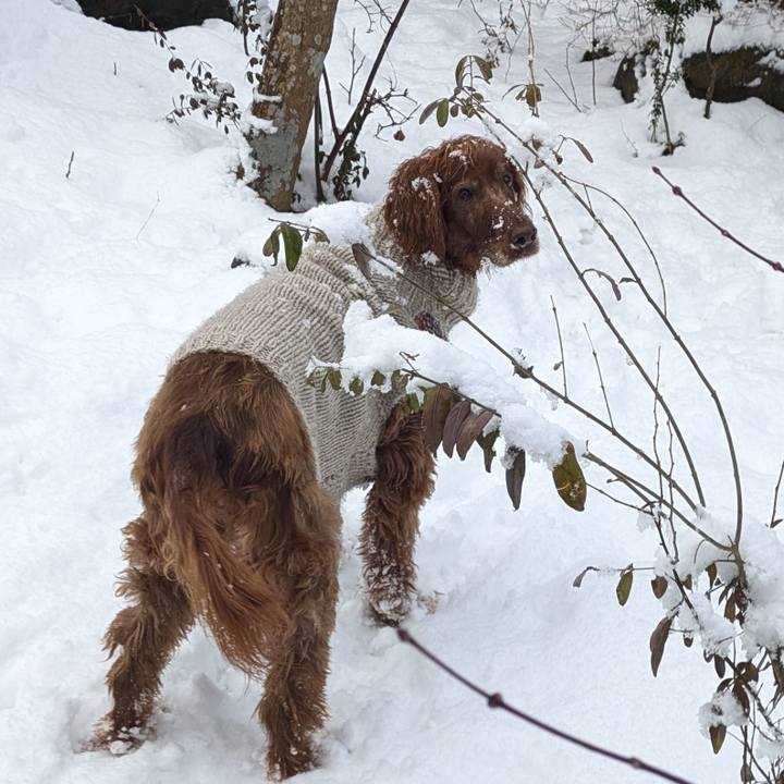 02ec5046 05ad 4215 929a fae893134c74 1768643782926