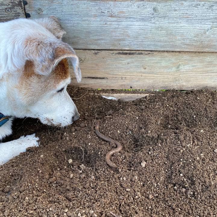 02ec65d1 9ec5 482c 8578 6362186c4ae0 1634122221681