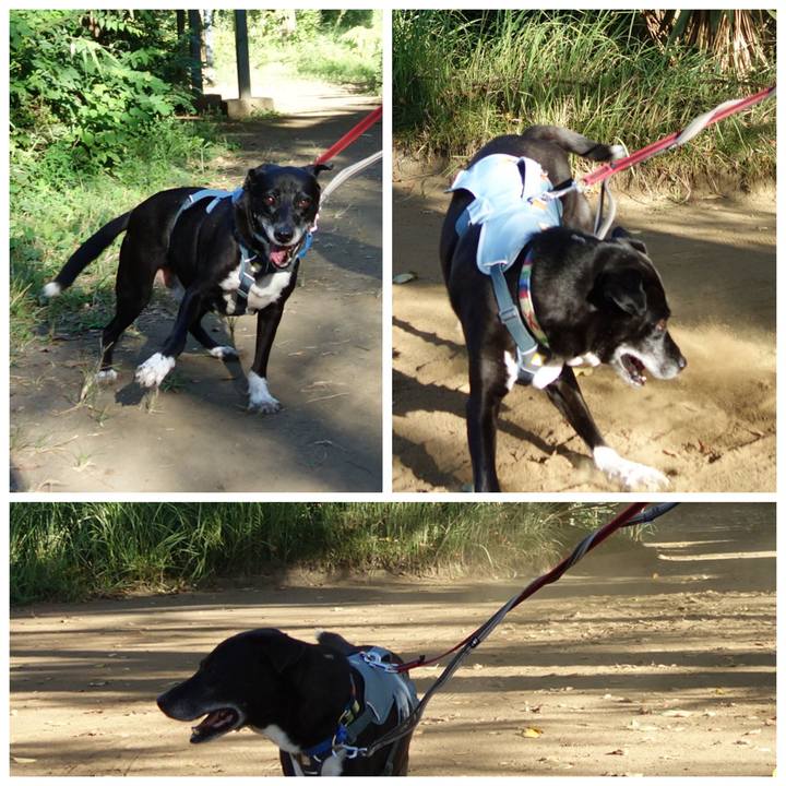 02ecea7a 5334 4999 8d25 c28013a8db28 1726355629723