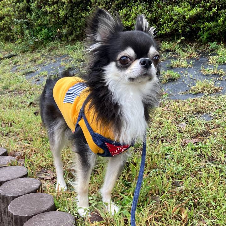 02ecf972 cb07 484a aee1 75ffaf46bf69 1681619827842