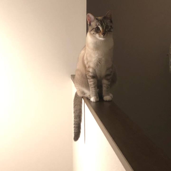 02ed0297 1689 42fd b847 bd54d36b2e58 1619962800252