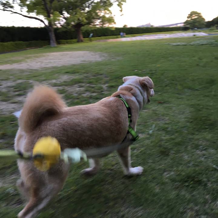 02ed668a ff34 430d b6cd 820c064b1c30 1526120641327