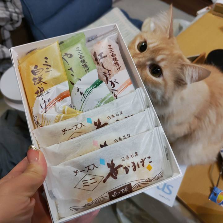 02ed71cb 411b 4790 9736 5a1983322e64 1700487364023