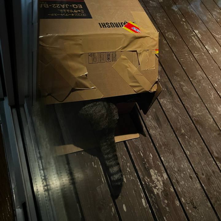 02edcd3d 00e2 4937 83fe 9b800a685f7f 1733560489938