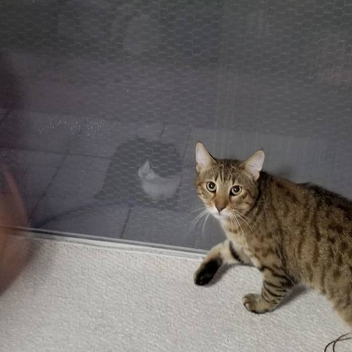 02eddd08 9c4c 49e0 82b3 f2a3e41843af 1691935366935