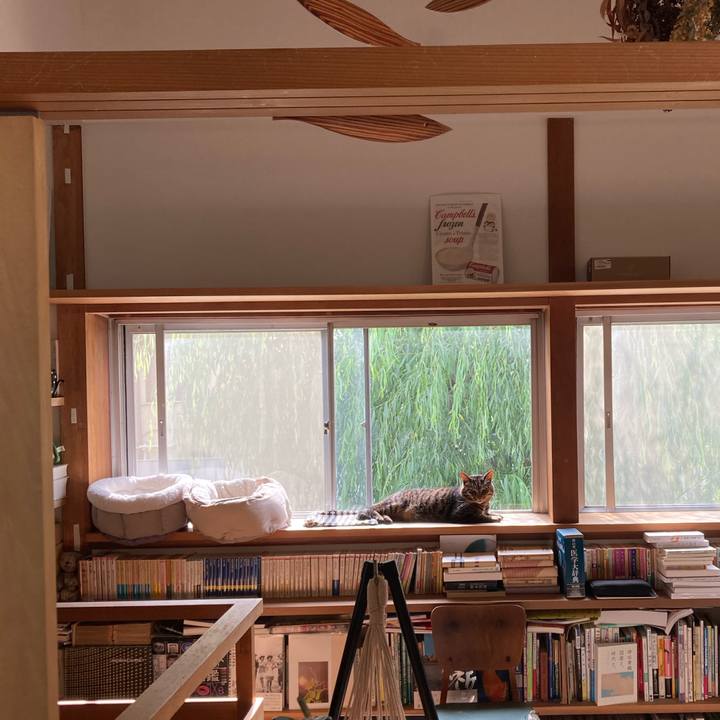 02ee1415 5de9 4dec 93a3 461a515d8112 1716601956146