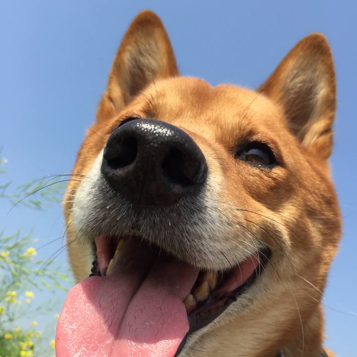 02ee689b e13b 40d0 9e8a 5c990fa57760 1524414543934