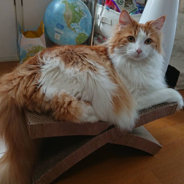 02ee73e7 3220 40fe a891 6b4df6b7839d 1526515309417