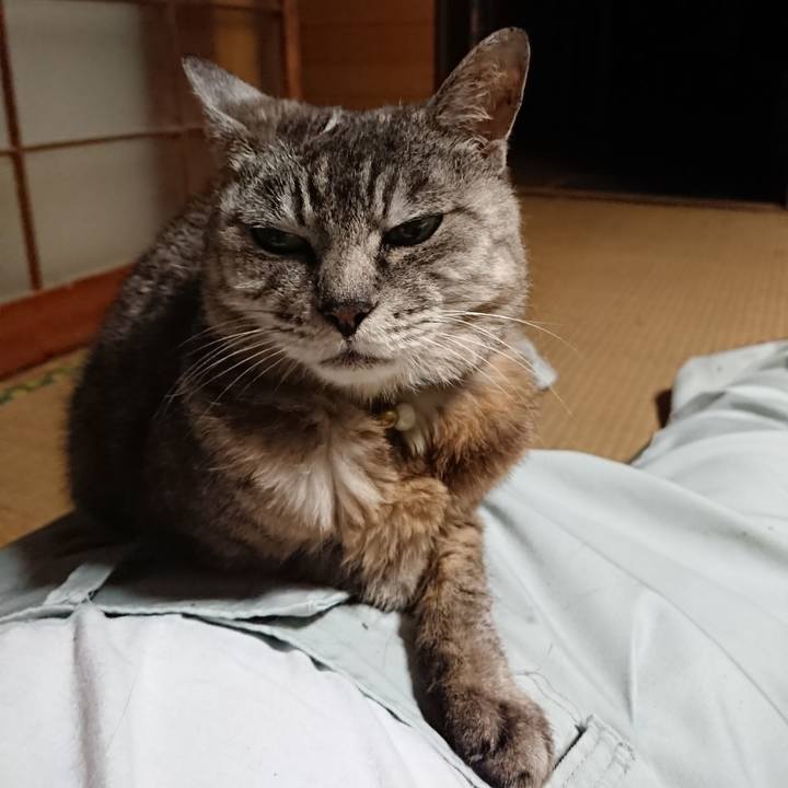 02ee9578 b41d 4872 a3ed 9fe43b2e3949 1567418963863